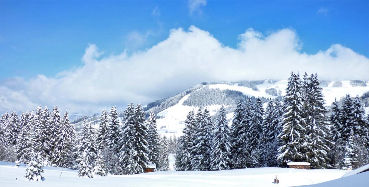 Hotel La Grange D'Arly Megeve Luaran gambar